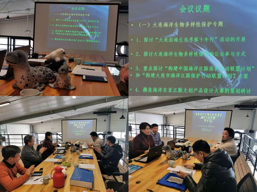 海洋之声，文化之韵——大连研讨会共话海洋生物多样性保护与影视传播新篇章